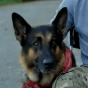 Odin