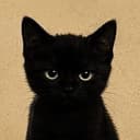 blackie