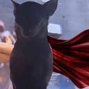 Kermit