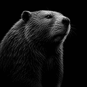 Beaver
