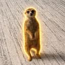 TIMON