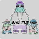 Walrus
