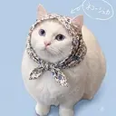 NEKOSHKA