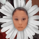 Petal