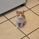 kevin