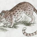 catar
