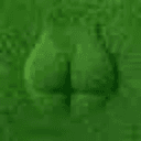 grASS