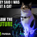 NVDACAT