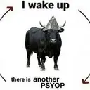 PBULL
