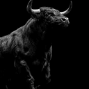 BULL