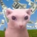 Bingus