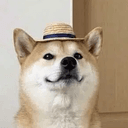モモ
