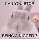 RACIST