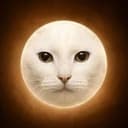 mooncat