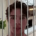 JAILMAXX