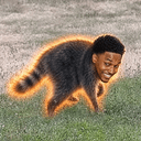 Himothy