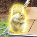 Chungus