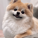 そるくん