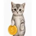 Kitty