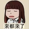来都来了