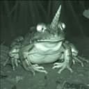 UNIFRONG