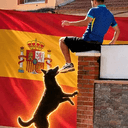 PERRO