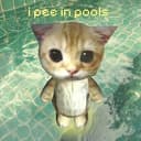 PEECAT