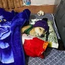 sickdog