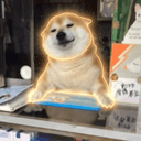 シバくん