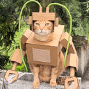 ROBOCAT