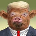POTUS