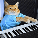 KEYCAT