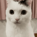 Takeru