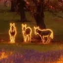 Donkeys
