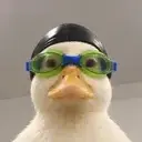 Nasduck