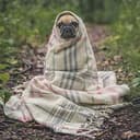 COZYPUG
