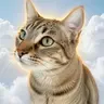 NALA