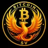 BSV