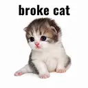 BROKECAT