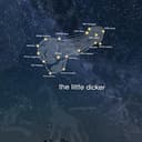 dicker