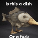 [invalid]