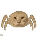 Spidercat