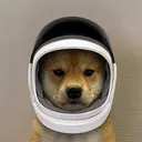 SPACEDOG