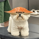 똥게.
