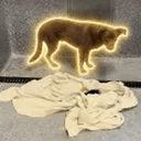 SOL
