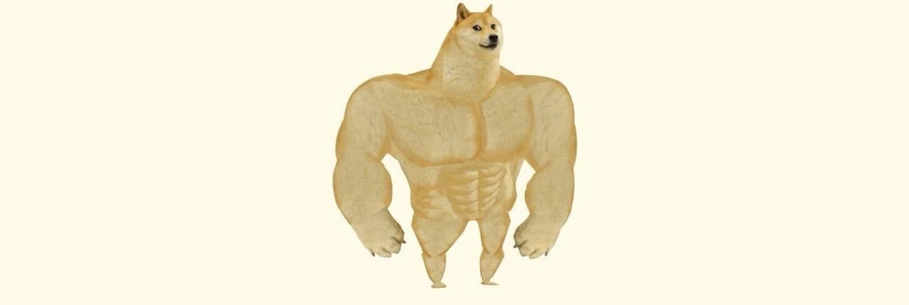 Swole Doge Banner