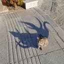 CATULHU