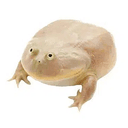 Wednesday