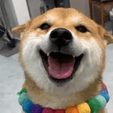 王佩奇