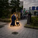 Travelers